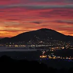 Cursighella