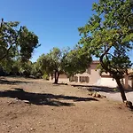 La Rainette