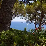 Stunning View And Pool Big Studio Best Location