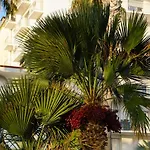 Plage Et Jardin En Centre Ville