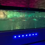 Appartement Cosy Jacuzzy Luxe Gare De Toulon