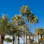 Luxury 2 Bedrooms On La Croisette!