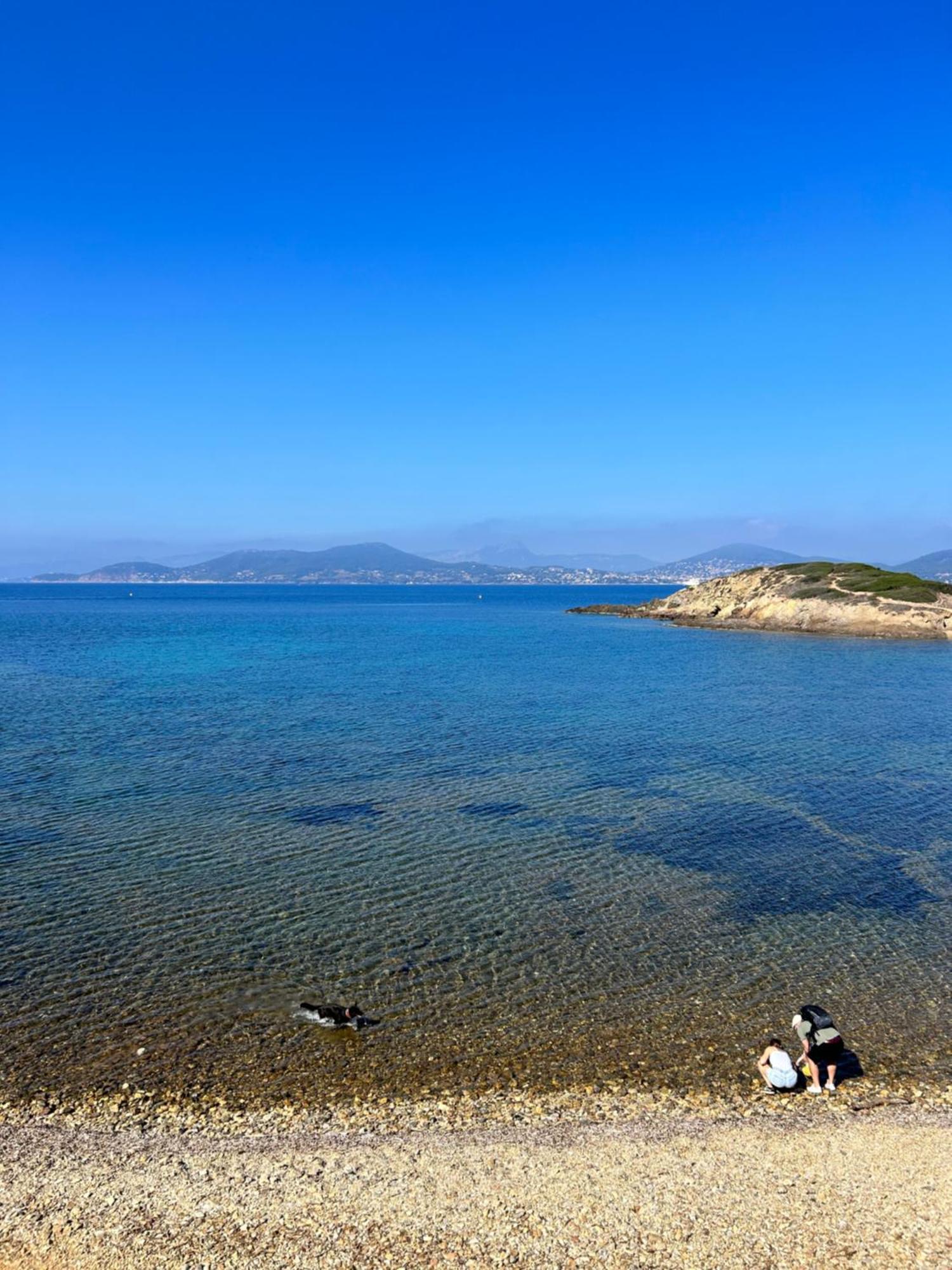 Port De Et Piscine * Hyères