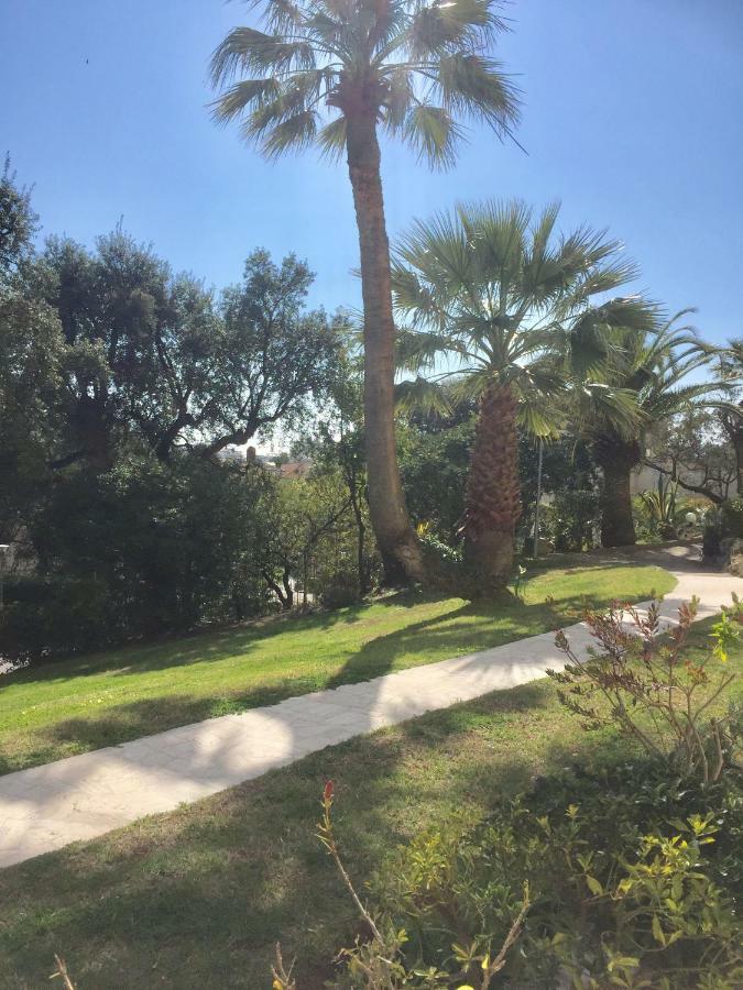 Apartamento Studio Alexandra Palace Cannes