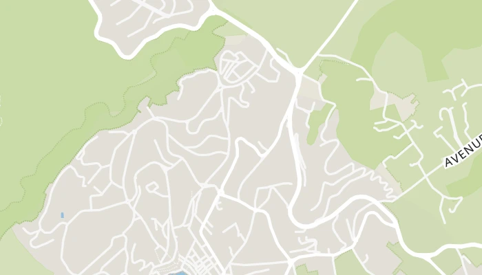 地图