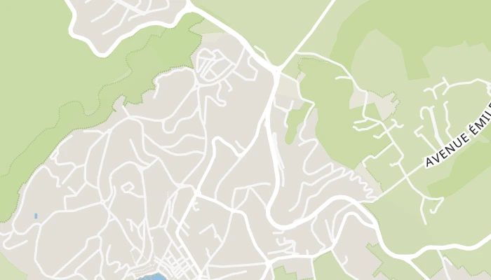 Χάρτης