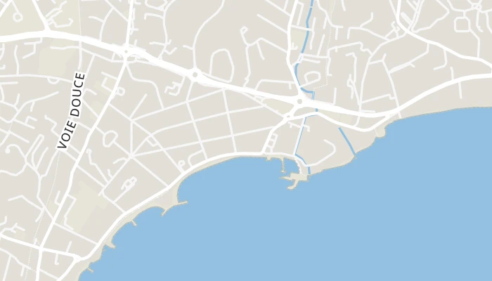 Χάρτης
