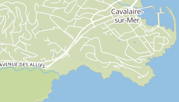Térkép