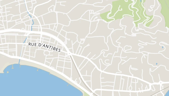 Χάρτης