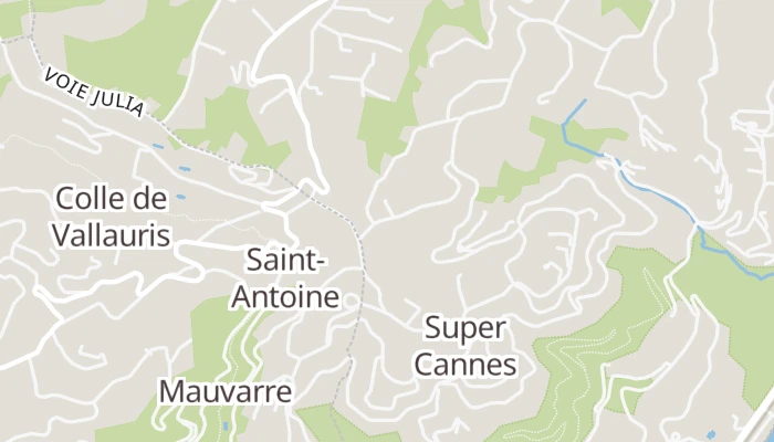 Térkép