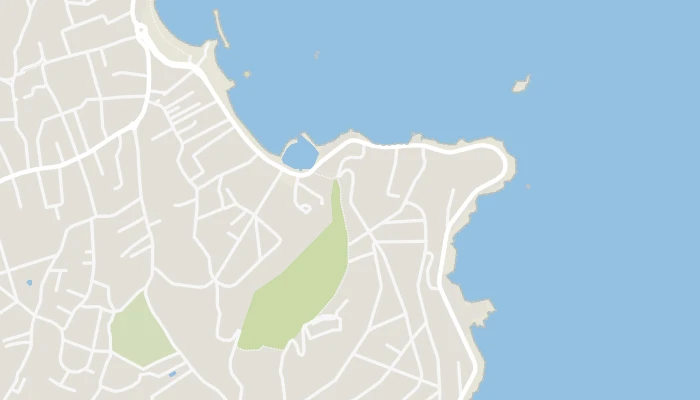 地图