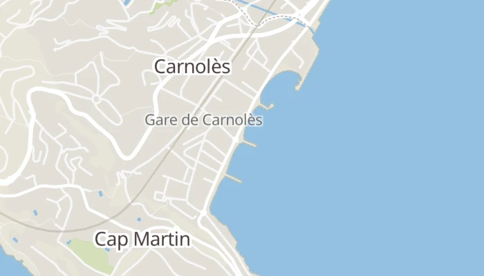 Térkép
